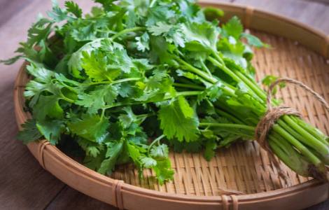 Producto que ayuda a que las heridas se curen más rápido